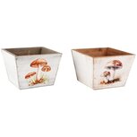Dekoratief | Bakje m/paddenstoelen, naturel/wit, hout, 15x15x11cm, set van 2 stuks | A255956 Dekoratief | Bakje m/paddenstoelen, naturel/wit, hout, 15x15x11cm, set van 2 stuks | A255956