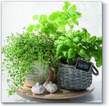 Dekoratief | Pakje 20 servetten 'Flavor of Herbs', 33x33cm | A700503 Dekoratief | Pakje 20 servetten 'Flavor of Herbs', 33x33cm | A700503