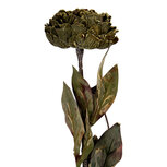 Clayre & Eef | Kunstbloem Groen 10x10x65 cm | 6PL0405CH