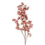 Clayre & Eef | Kunstbloem Roze Bruin 10x10x86 cm | 5PL0201DP Clayre & Eef | Kunstbloem Roze Bruin 10x10x86 cm | 5PL0201DP