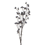 Clayre & Eef | Kunstbloem Blauw Bruin 8x8x110 cm | 5PL0202BL Clayre & Eef | Kunstbloem Blauw Bruin 8x8x110 cm | 5PL0202BL