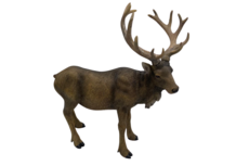 Decoratiebeeld Hert Staand – Rendier Bruin Polystone – 36 x 40 cm – Home Sweet Home Decoratiebeeld Hert Staand – Rendier Bruin Polystone – 36 x 40 cm – Home Sweet Home