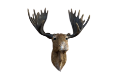 Wanddecoratie rendier dierenhoofd – Bruin Polystone – 31 x 28 cm – Home Sweet Home Wanddecoratie rendier dierenhoofd – Bruin Polystone – 31 x 28 cm – Home Sweet Home