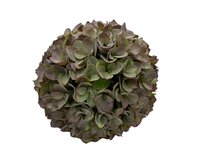 Decoratie kunstbol Hortensia Ø 30 cm groen | 807871 | Home Sweet Home | Stoer & Sober Woonstijl Decoratie kunstbol Hortensia Ø 30 cm groen | 807871 | Home Sweet Home | Stoer & Sober Woonstijl
