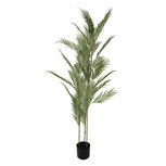 Clayre & Eef | Kunstplant Palm Groen Zwart 25x25x180 cm | 5PL0231