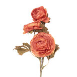 Clayre & Eef | Decoratie tak met bloemen Oranje Groen 10x12x70 cm | 5PL0248O