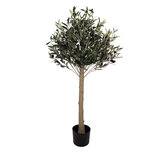 Clayre & Eef | Decoratie Olijfboom Groen Bruin 45x45x120 cm | 5PL0224