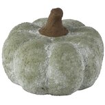 Dekoratief | Deco pompoen, groen, keramiek, 12x12x9cm | A265147
