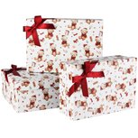 Dekoratief | Set 3 dozen m/strikje 'Bear Wishes ', karton, 30x21x11cm | A265668