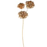Dekoratief | Deco tak m/parels/pailletten, goud, pvc, 8x15x66cm | A265541