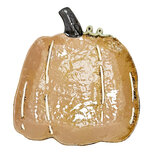 Clayre & Eef | Decoratie schaal Beige 26x21x3 cm | 6CE2540