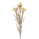 Clayre & Eef | Decoratie tak met bloemen Wit 77 cm | 5PL0290W
