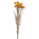 Clayre & Eef | Decoratie tak met bloemen Geel 77 cm | 5PL0290Y