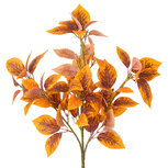 Clayre & Eef | Decoratie tak Oranje 80 cm | 5PL0292