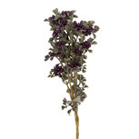 Clayre & Eef | Decoratie tak met bloemen Rood 67 cm | 5PL0294R