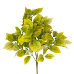 Clayre & Eef | Decoratie tak Geel 80 cm | 5PL0306