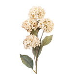 Clayre & Eef | Decoratie tak met bloemen Wit 70 cm | 5PL0313W