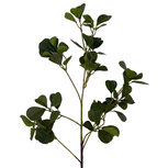 Clayre & Eef | Decoratie tak Groen 95 cm | 5PL0322