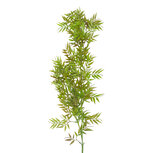 Clayre & Eef | Decoratie tak Groen 120 cm | 5PL0354GR