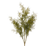 Clayre & Eef | Decoratie tak Groen 72 cm | 5PL0356GR