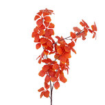 Clayre & Eef | Decoratie tak Oranje Bruin 80 cm | 5PL0369
