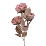 Clayre & Eef | Decoratie tak met bloemen Rood 83 cm | 5PL0375R
