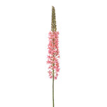 Clayre & Eef | Decoratie tak met bloemen Roze Groen | 5PL0381P
