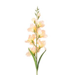 Clayre & Eef | Decoratie tak met bloemen Roze 95 cm | 5PL0303P