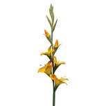 Clayre & Eef | Decoratie tak met bloemen Oranje Groen 92 cm | 5PL0330O