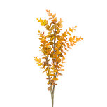 Clayre & Eef | Decoratie tak Oranje Groen 90 cm | 5PL0350O