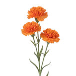 Clayre & Eef | Decoratie tak met bloemen Oranje Groen | 5PL0379O