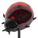Clayre & Eef | Tuinprikker lieveheersbeestje op zonne-energie Rood Zwart 7x6x14 cm | 6LMS0003