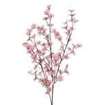 Clayre & Eef | Decoratie tak met bloemen Roze 113 cm | 5PL0280P
