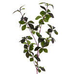 Clayre & Eef | Decoratie tak Groen 72 cm | 5PL0282