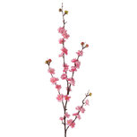 Clayre & Eef | Decoratie tak met bloemen Roze 66 cm | 5PL0284P