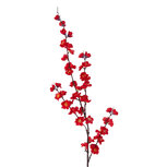 Clayre & Eef | Decoratie tak met bloemen Rood 66 cm | 5PL0284R