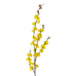 Clayre & Eef | Decoratie tak met bloemen Geel 66 cm | 5PL0284Y