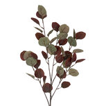 Clayre & Eef | Decoratie tak Bruin 90 cm | 5PL0299CH