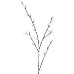 Clayre & Eef | Decoratie tak met bloemen Wit Groen 108 cm | 5PL0324