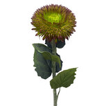 Clayre & Eef | Decoratie tak met bloemen Groen 86 cm | 5PL0326GR