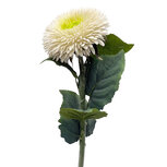 Clayre & Eef | Decoratie tak met bloemen Wit Groen 86 cm | 5PL0326W