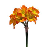 Clayre & Eef | Decoratie tak met bloemen Oranje Groen 87 cm | 5PL0327O