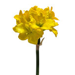 Clayre & Eef | Decoratie tak met bloemen Geel Groen 87 cm | 5PL0327Y