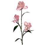 Clayre & Eef | Decoratie tak met bloemen Roze Groen 109 cm | 5PL0328LP