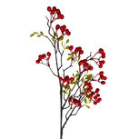 Clayre & Eef | Decoratie tak Oranje 50 cm | 6PL0424