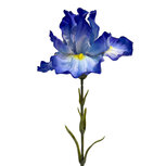 Clayre & Eef | Decoratie tak met bloemen Blauw Groen 62 cm | 6PL0436BL