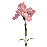 Clayre & Eef | Decoratie tak met bloemen Roze Groen 62 cm | 6PL0436P