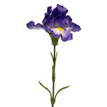 Clayre & Eef | Decoratie tak met bloemen Paars Groen 62 cm | 6PL0436PA
