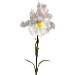 Clayre & Eef | Decoratie tak met bloemen Wit Groen 62 cm | 6PL0436W