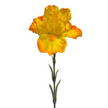 Clayre & Eef | Decoratie tak met bloemen Geel Groen 62 cm | 6PL0436Y